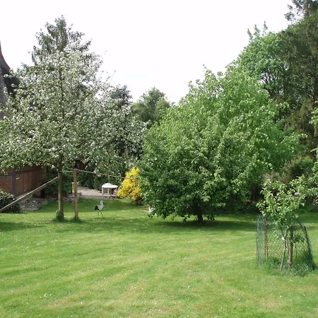Fischerwiege Am Passader Otel