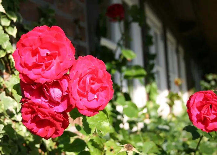 Hotel Fischerwiege Am Passader
